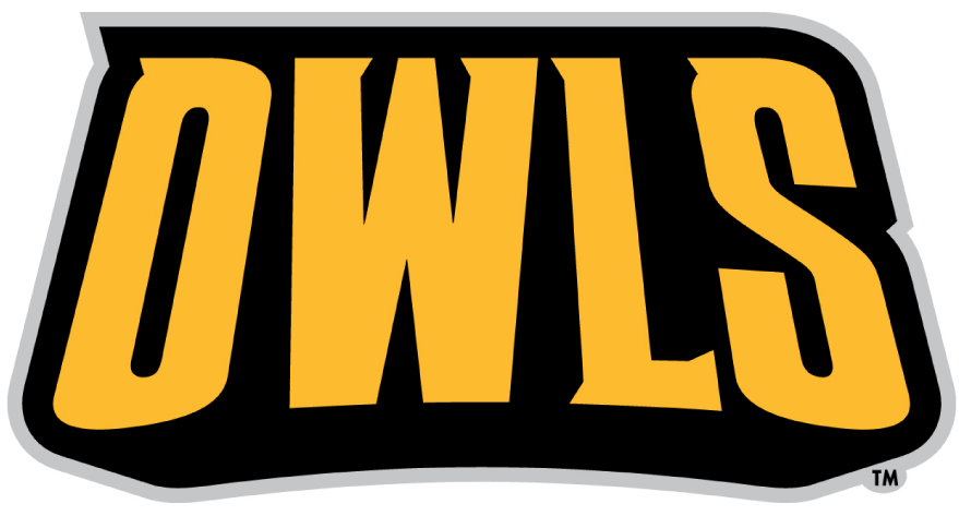 Kennesaw State Owls 2012-Pres Wordmark Logo iron on paper